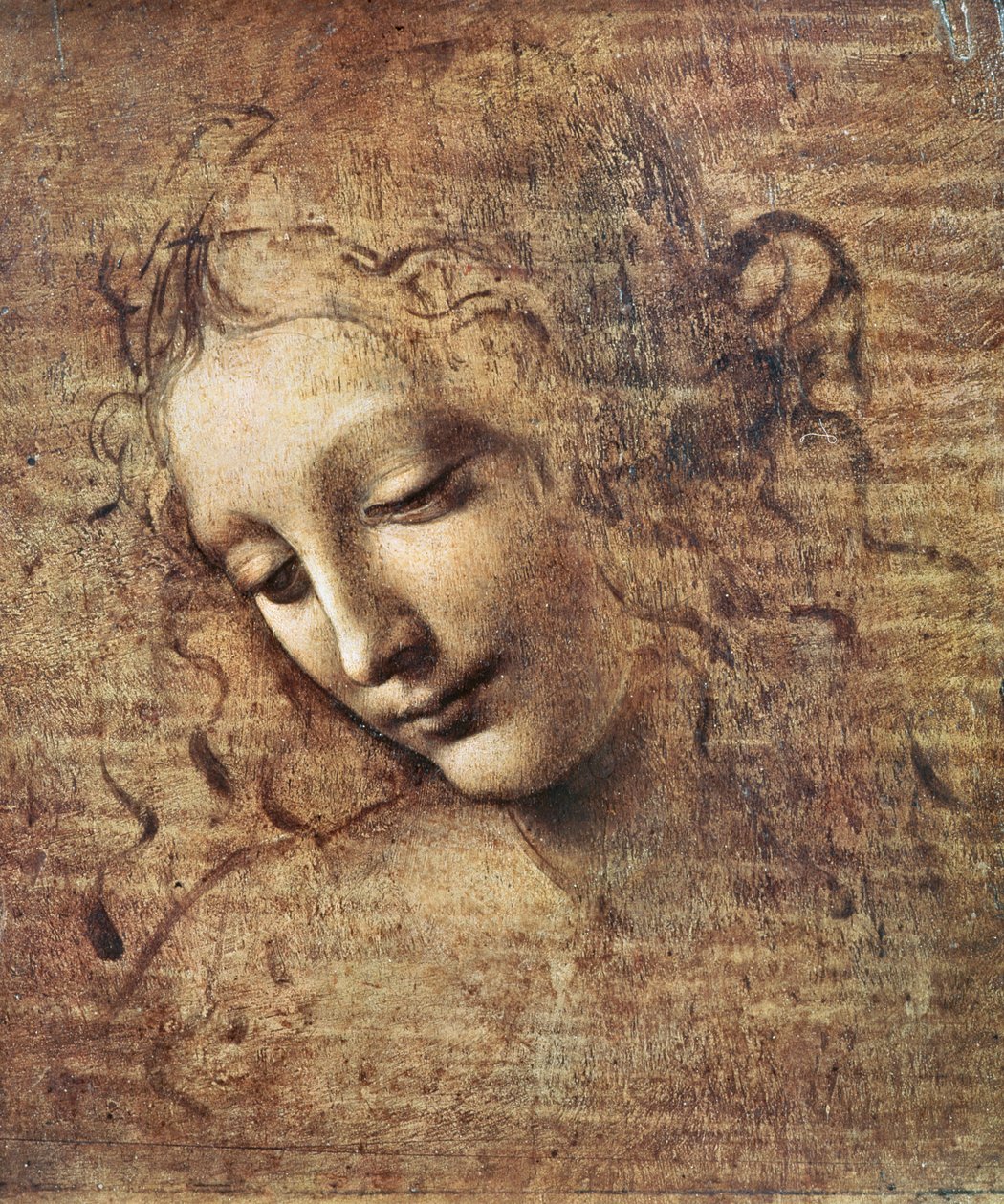 Chef för en ung kvinna med rufsigt hår eller Leda (gouache på trä) av Leonardo da Vinci