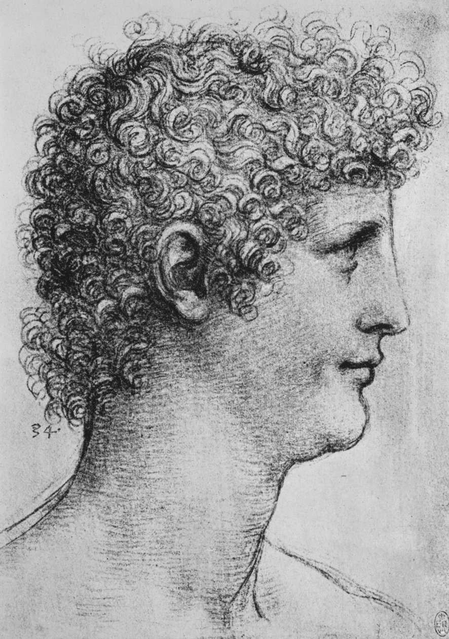 Chef för en ungdom i profil till höger, c1480 1945 av Leonardo da Vinci