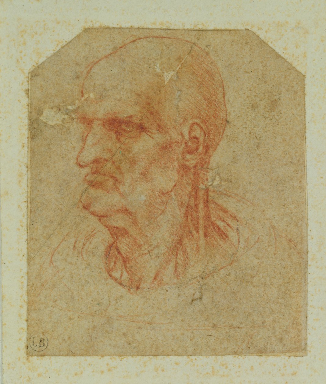 Huvud av en skägglös gammal man, vänster profil (rödkrita på papper) av Leonardo da Vinci