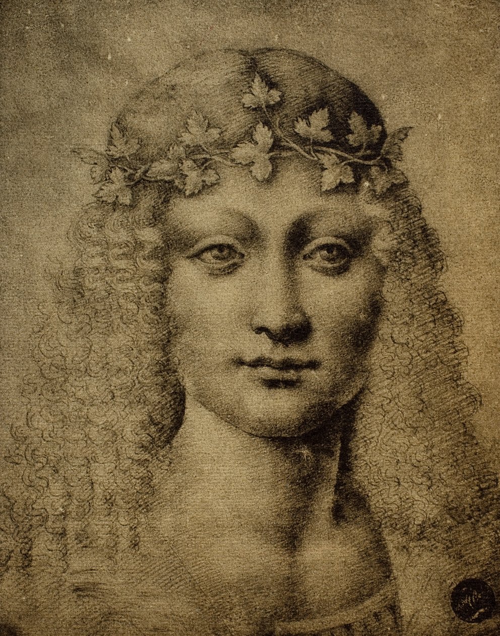 Huvud av en flicka eller en ung Bachus; teckning av Leonardo da Vinci. Gallerie dellAccademia, Venedig av Leonardo da Vinci