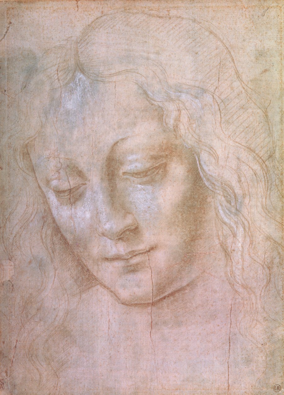 Huvudet på en kvinna (metallspets förhöjd med gouache) av Leonardo da Vinci