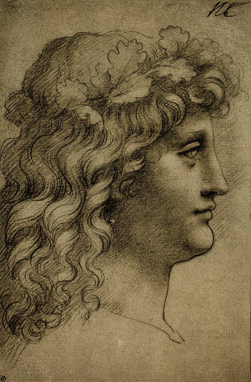 Chef för en ung man; teckning av Leonardo da Vinci. Louvren, Paris av Leonardo da Vinci