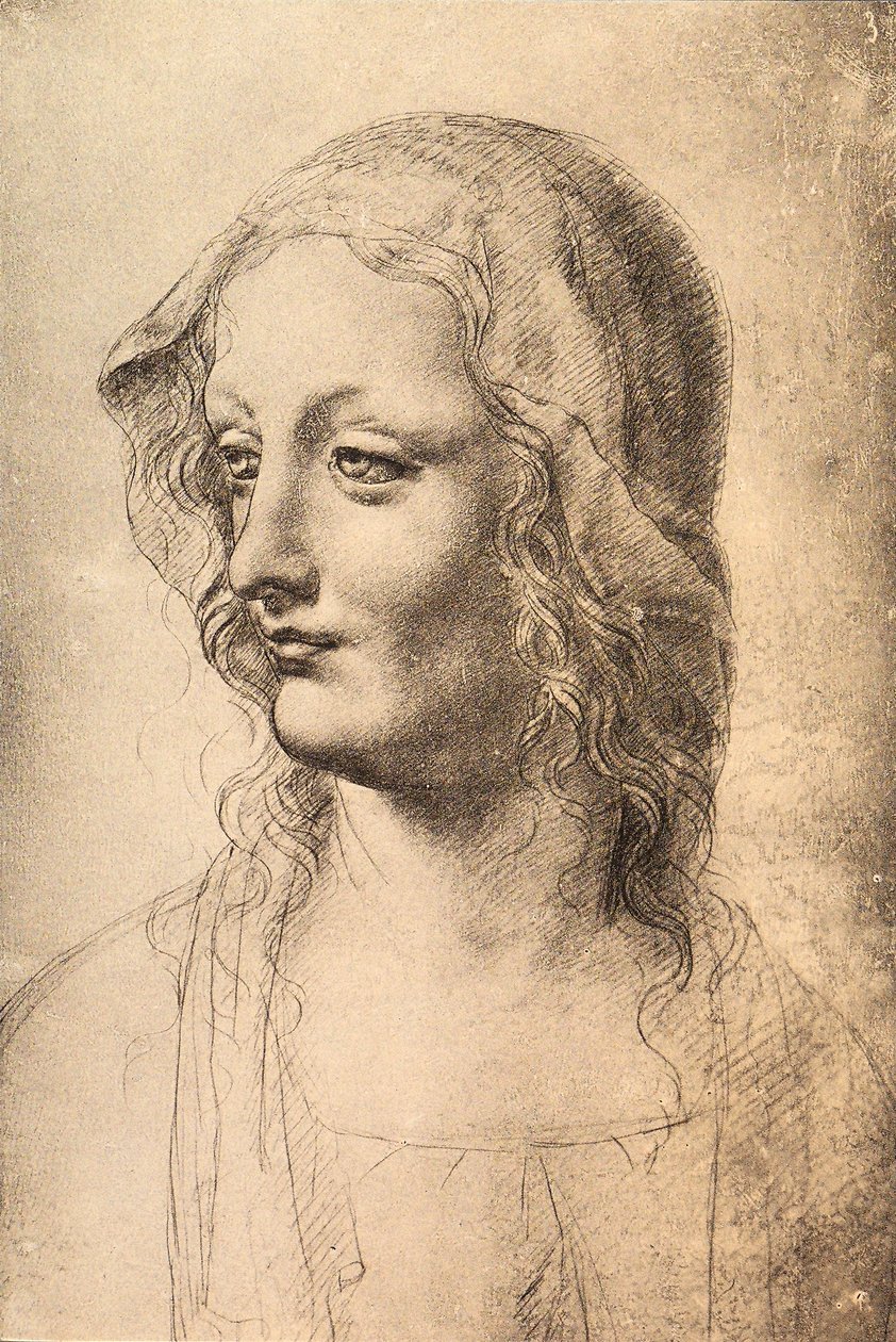 Chef för en ung kvinna, teckning av Leonardo da Vinci, Cabinet of Drawings and Prints, Uffizi, Florens av Leonardo da Vinci