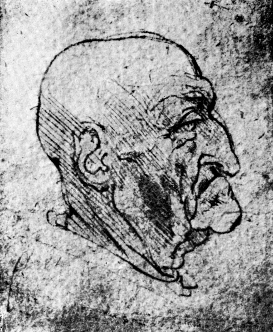Chef för en gammal man, 1913 av Leonardo da Vinci