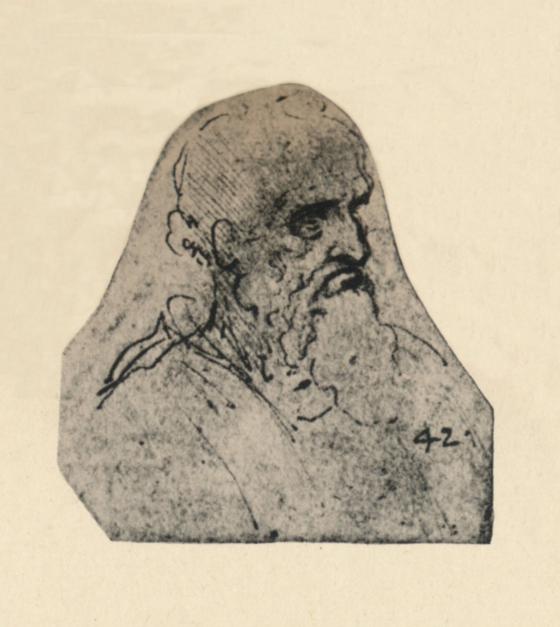 Huvudet på en gammal man vände åt höger, c1480 1945 av Leonardo da Vinci