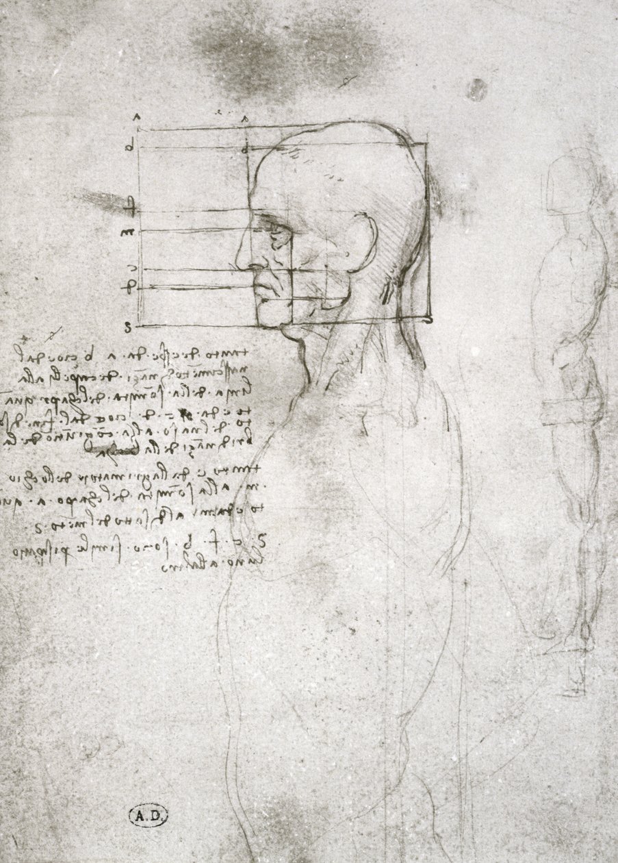 Chef för en gammal man i profil, faksimilkopia (penna och bläck på papper) av Leonardo da Vinci
