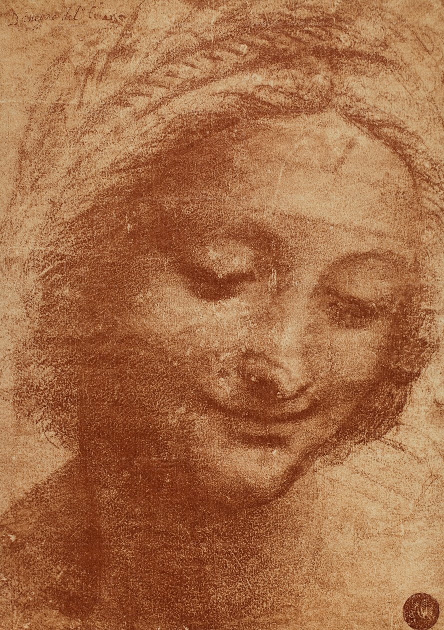 Ulu o le fafine poʻo SantAnna, tusia e Leonardo da Vinci, suʻesuʻe mo le ulu o Sant Annas atavali Madonna ma Tamaiti ma Sant Anna i le Louvre. O le mamanu o loʻo tuʻuina i le Gallerie dellAswed av Leonardo da Vinci