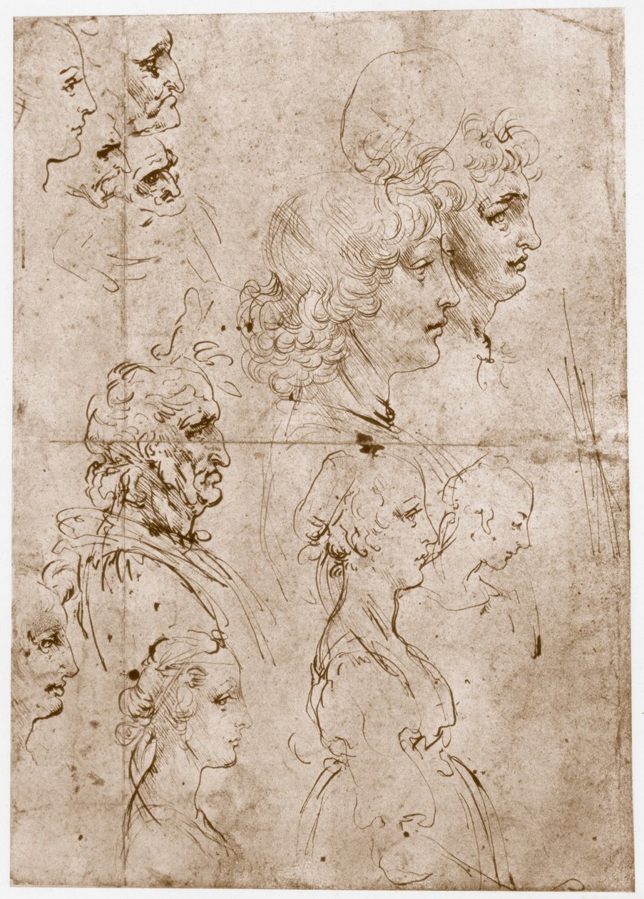 Chefer för flickor, unga och gamla män, 1478-1480 av Leonardo da Vinci