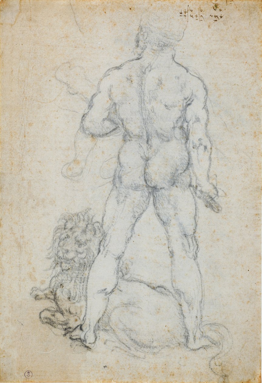 Herkules och det Nemeiska lejonet, ca. 1506-08 (kol och metallspets på vitt papper) av Leonardo da Vinci