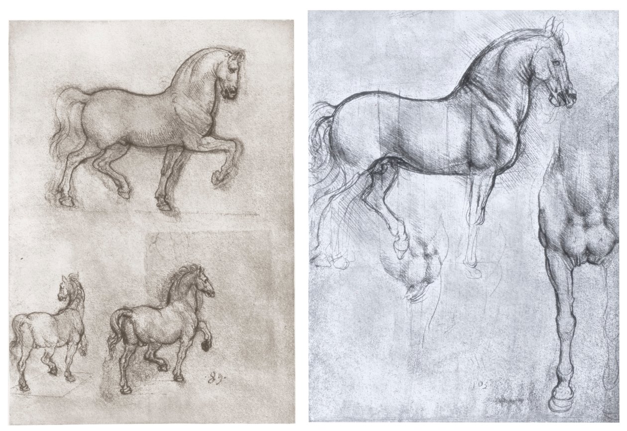 Hästar, c1490-1510 av Leonardo da Vinci
