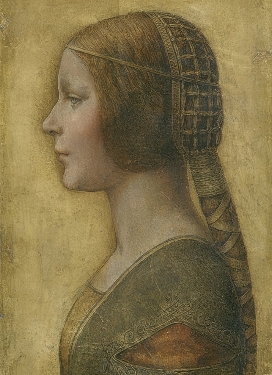 Den vackra prinsessan. Hm 1496 av Leonardo da Vinci