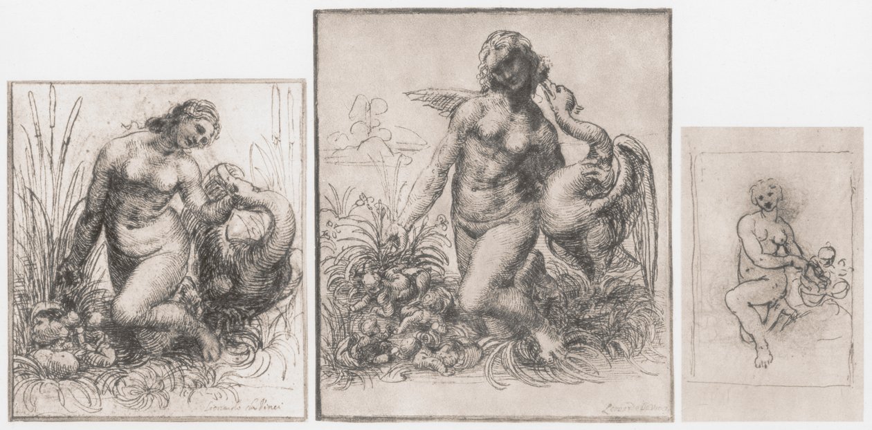Leda och svanen, c1504-1506 av Leonardo da Vinci