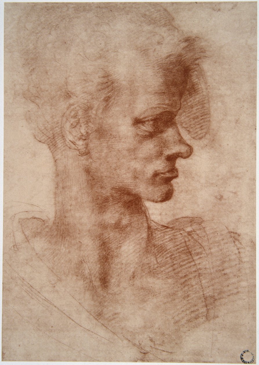 Leonardo da Vinci (Leonardo da Vinci) (1452 - 1519): Karikatyrporträtt av en ung man (Imagine) av Leonardo da Vinci