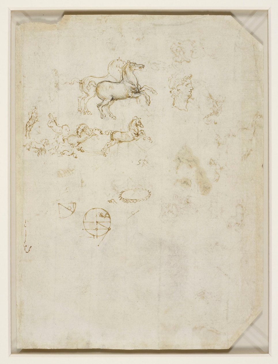 Leonardo da Vinci - Verso Springande hästar och Neros huvud c.1503-4 av Leonardo da Vinci