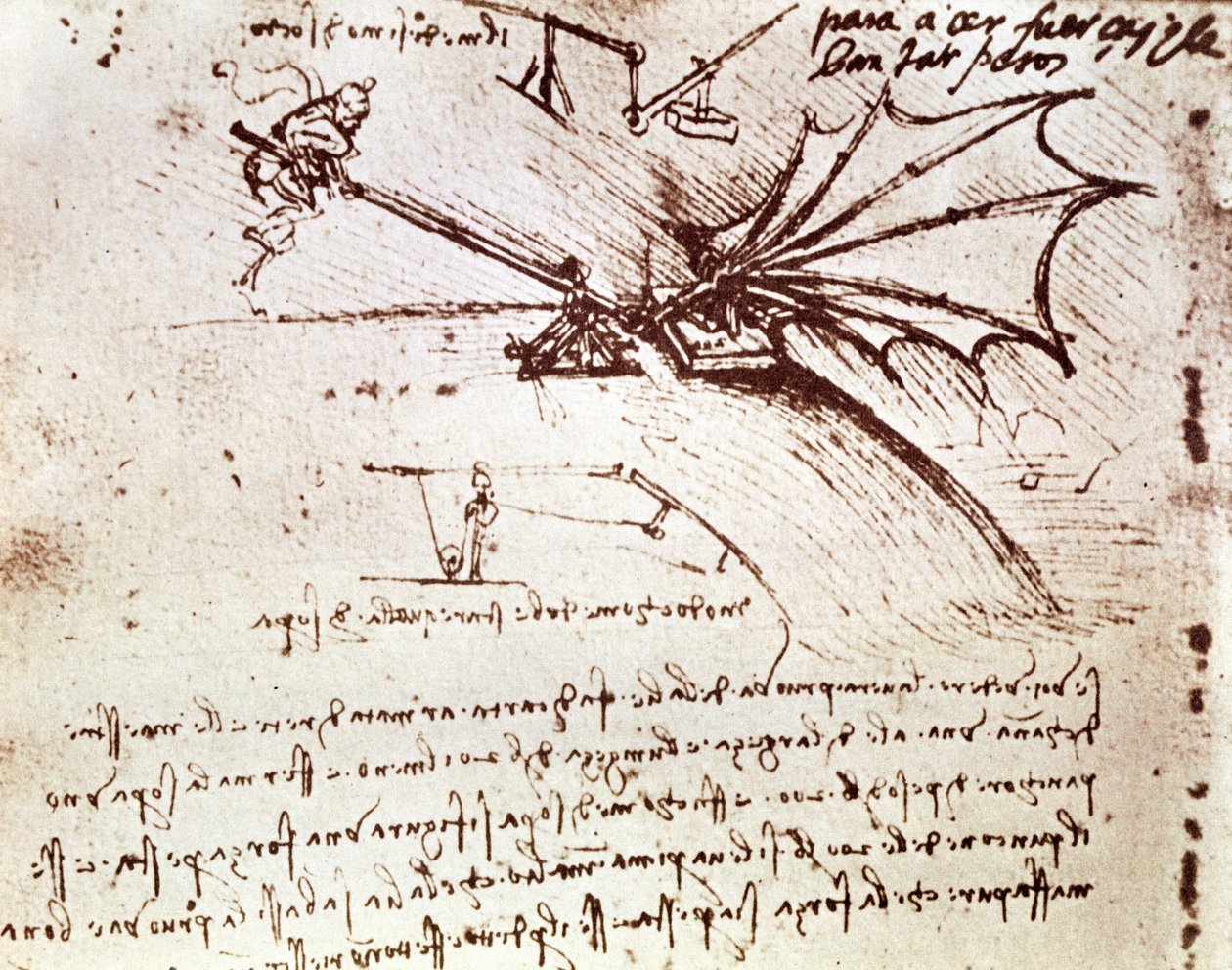 MS B fol.88v Testar belastningstoleransen för en vinge av Leonardo da Vinci