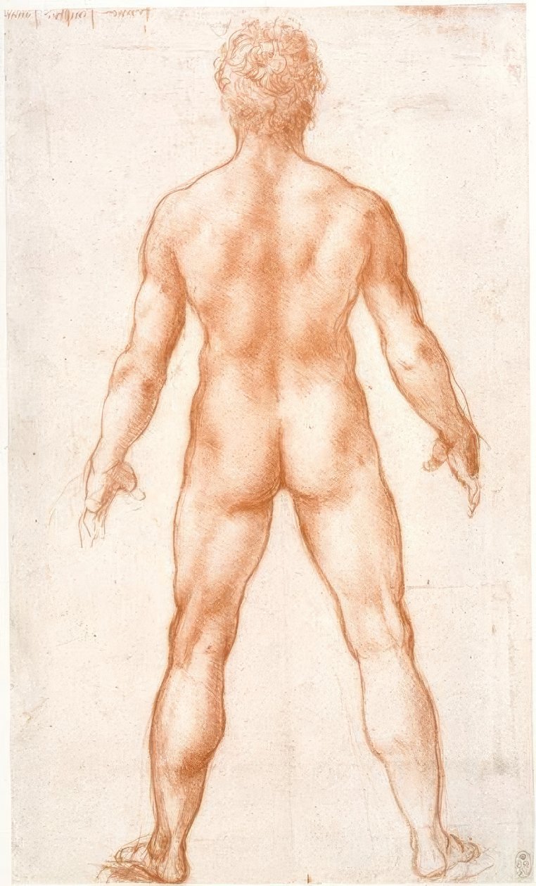 Naken man bakifrån av Leonardo da Vinci