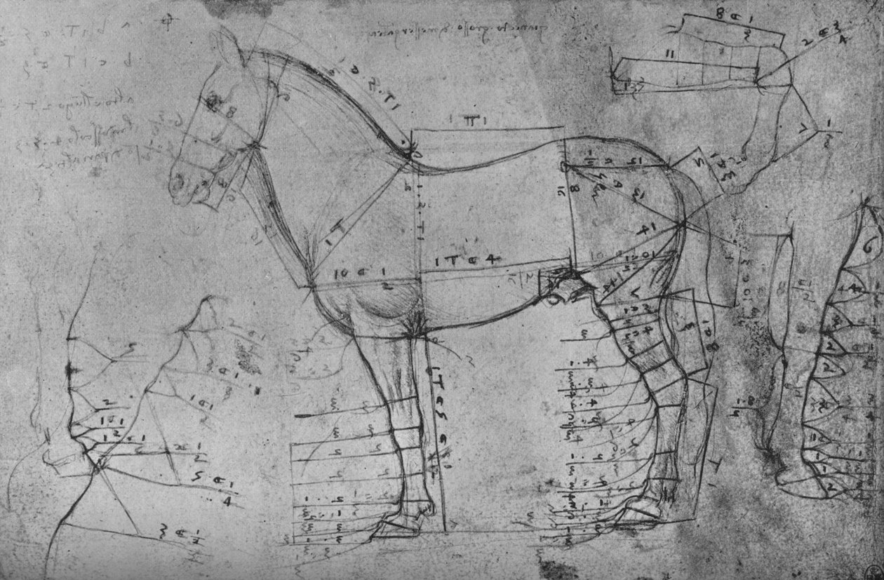 Uppmätt teckning av en häst i profil till vänster, c1480 1945 av Leonardo da Vinci