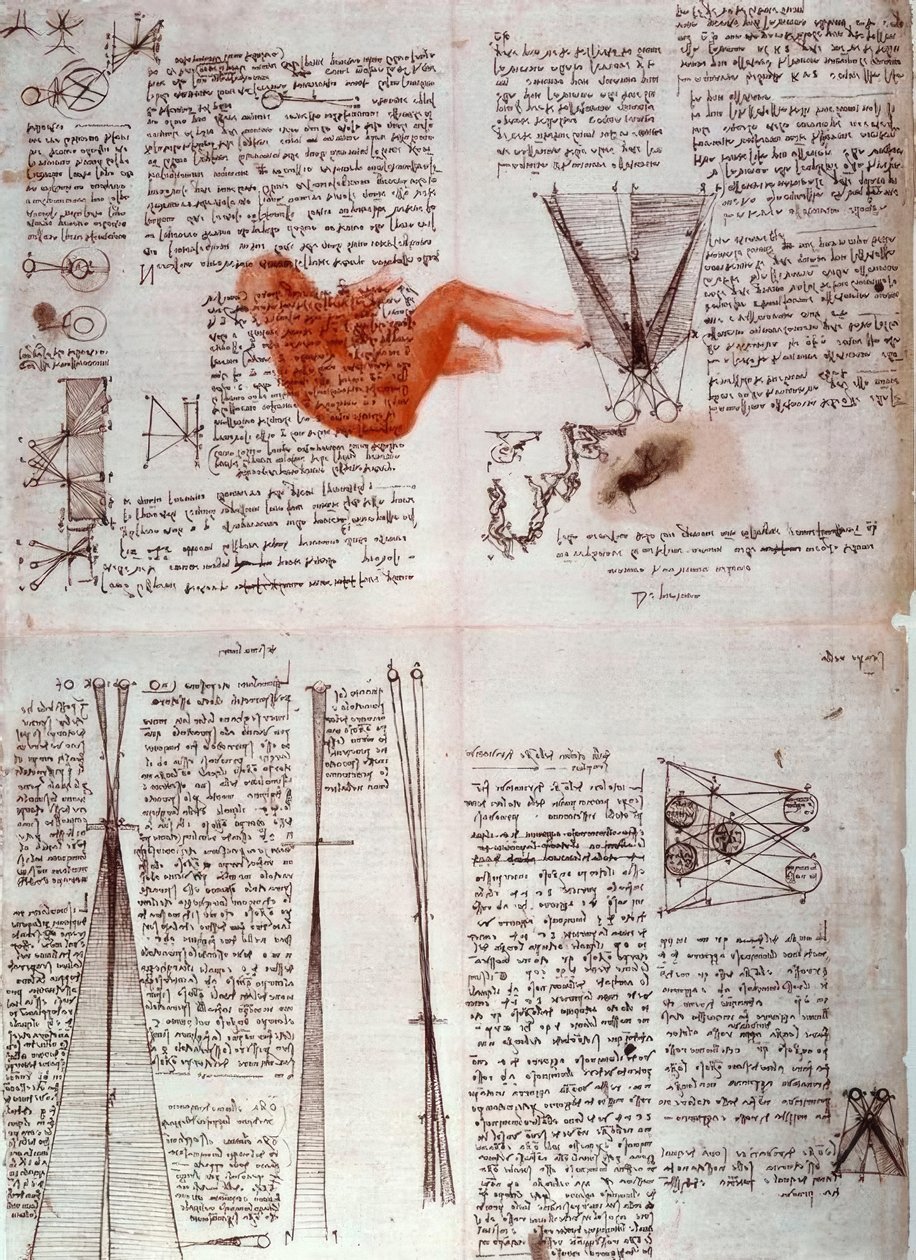 Anteckningar om synens fysiologi ... av Leonardo da Vinci