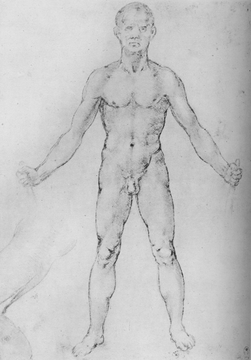 Naken man med utsträckta armar, sedd framifrån, c1480 1945 av Leonardo da Vinci