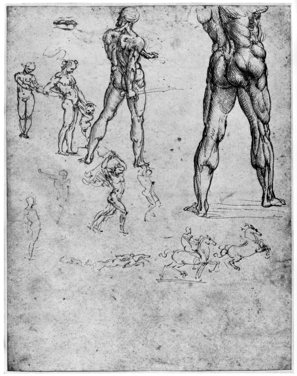 Nakenstudier för Slaget vid Anghiari, c1503-1505 1954 av Leonardo da Vinci
