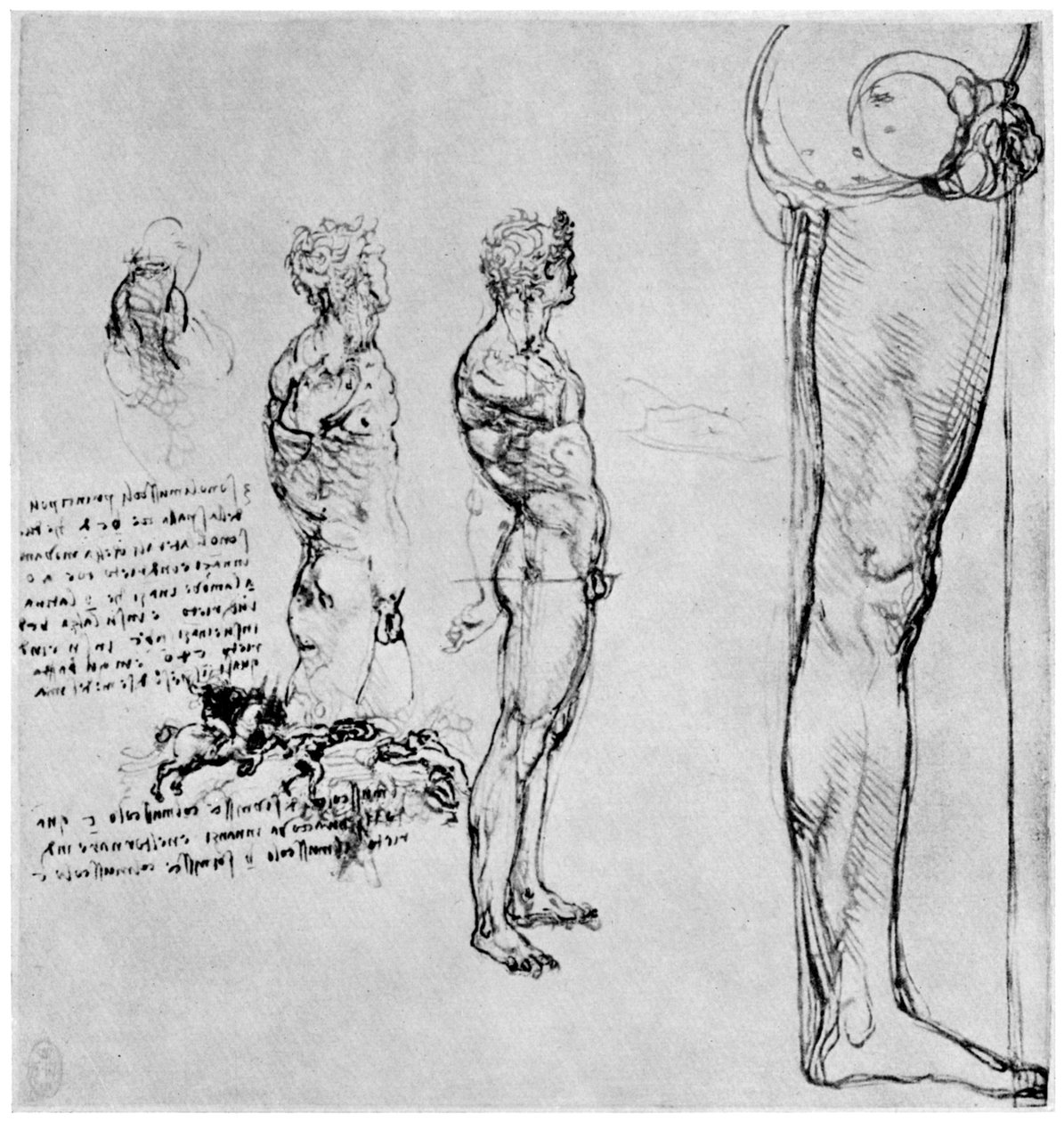 Nakenstudier för Slaget vid Anghiari, c1503-1505 1954 av Leonardo da Vinci