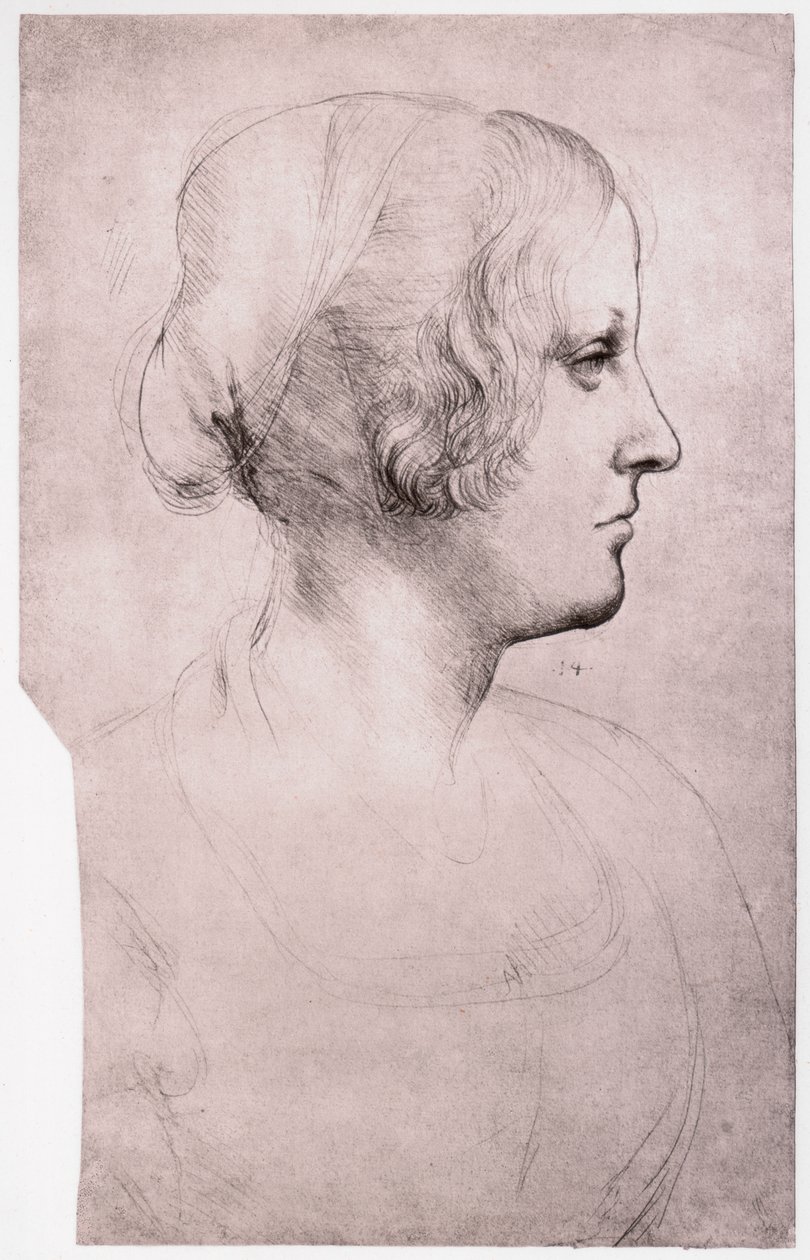 Porträtt av en flicka med mössa, 1493-1495 av Leonardo da Vinci