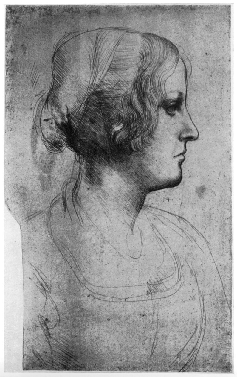 Porträttstudie av en ung flickas huvud, 1400-talet 1954. av Leonardo da Vinci