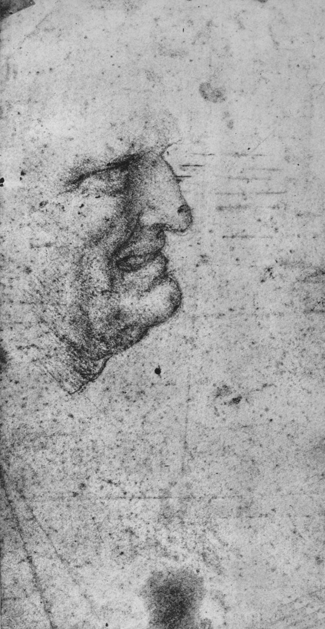 Profil av en man med sammanbitna tänder, c1480 1945 av Leonardo da Vinci