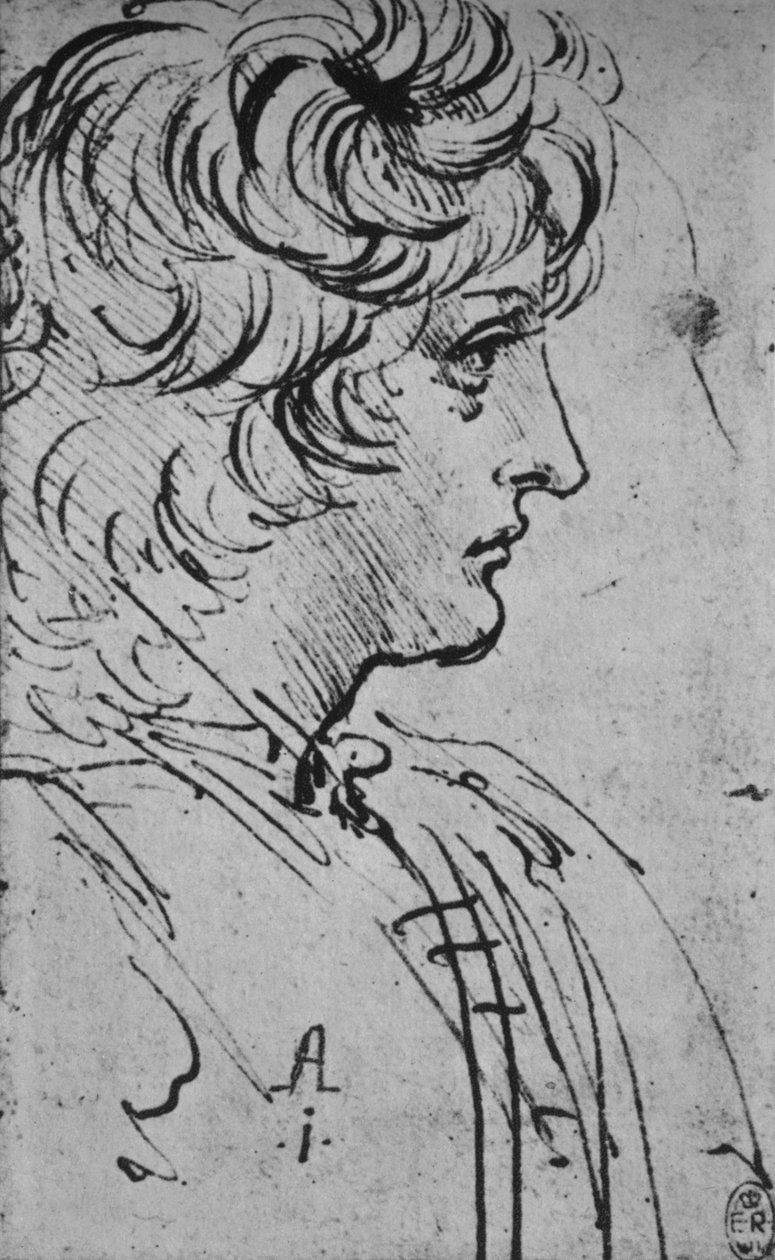 Profil av en ungdom till höger, c1480 1945 av Leonardo da Vinci
