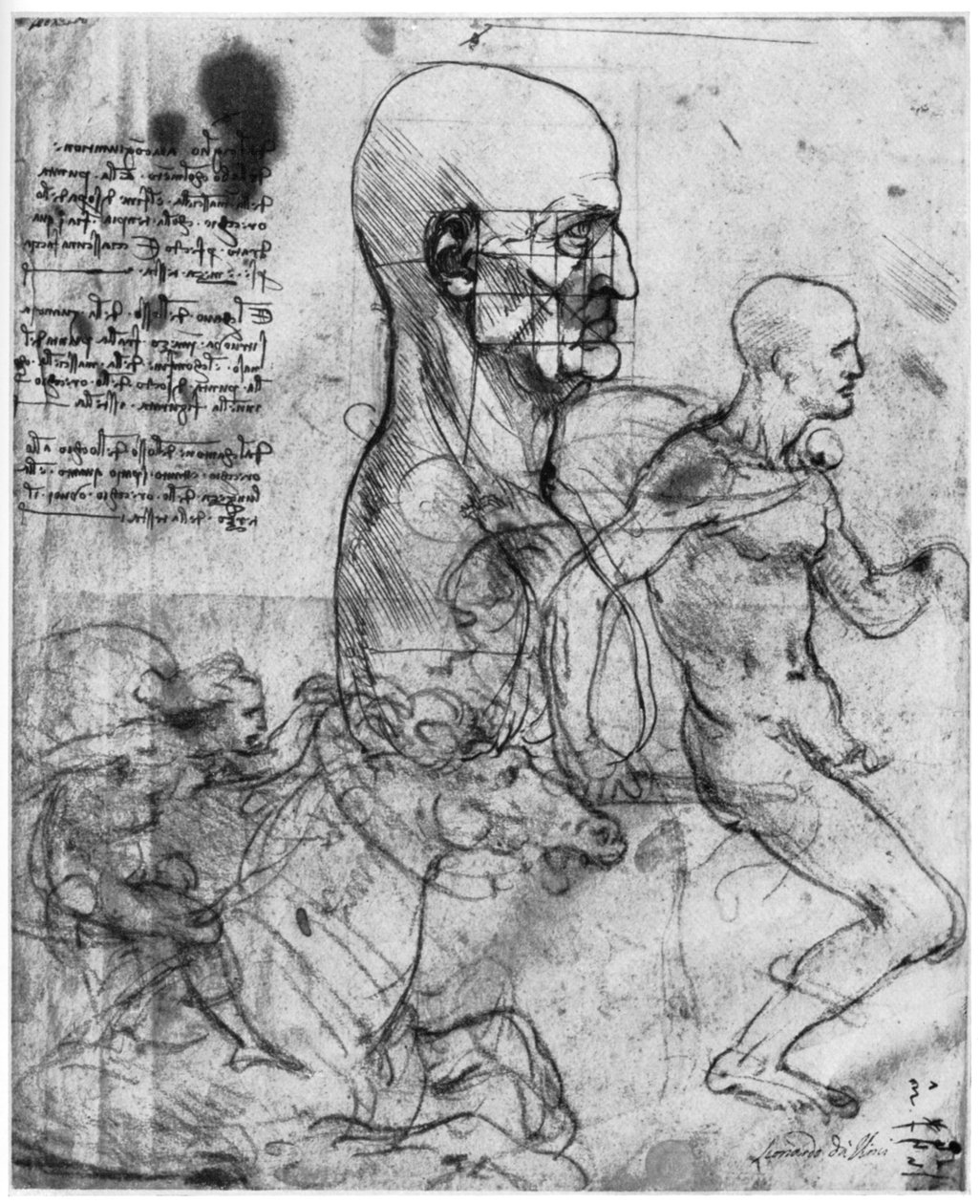 Profil av en mans huvud och studier av två ryttare, c1490 och c1504 1954. av Leonardo da Vinci