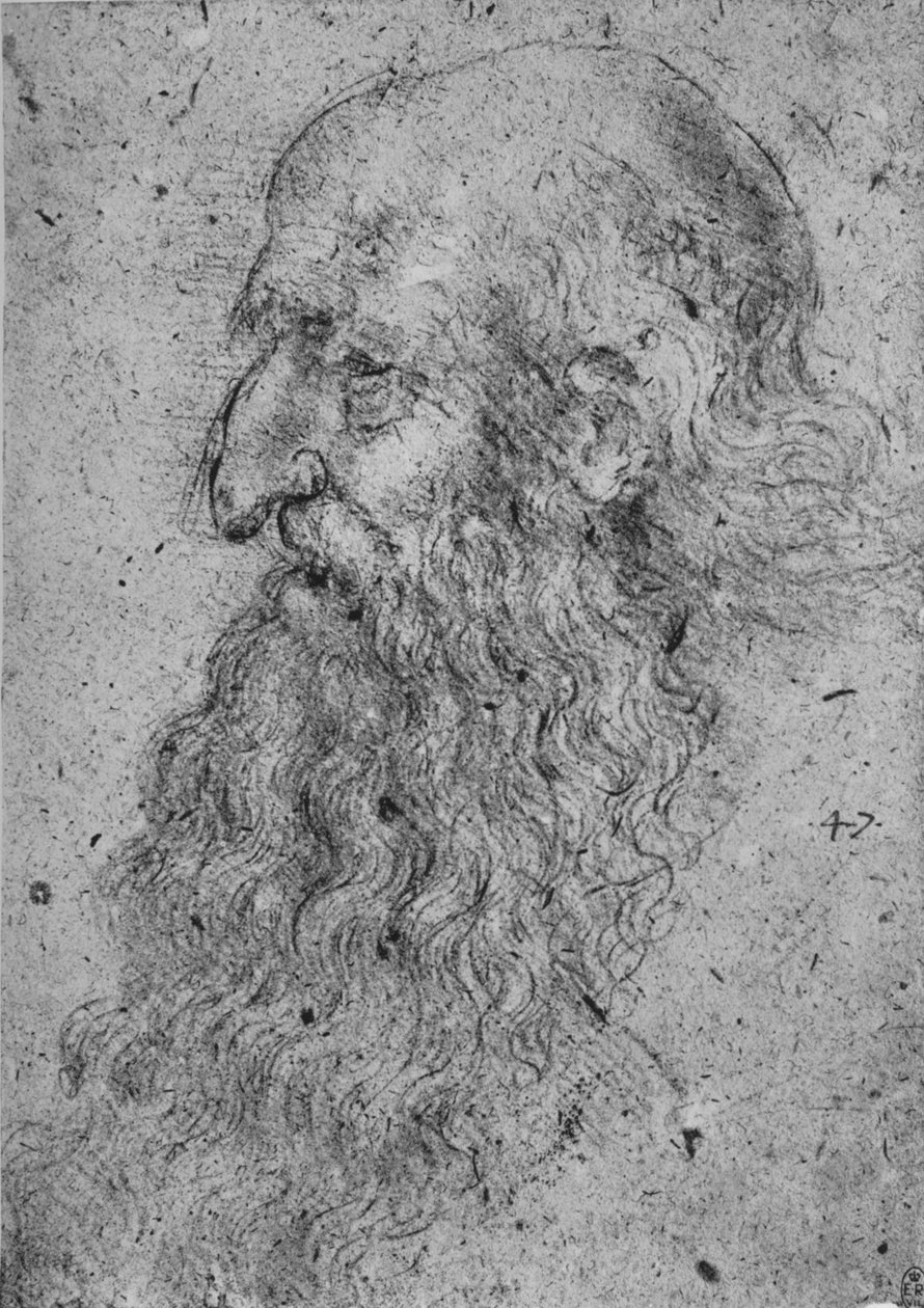 Profil av en gammal skäggig man till vänster, c1480 1945 av Leonardo da Vinci
