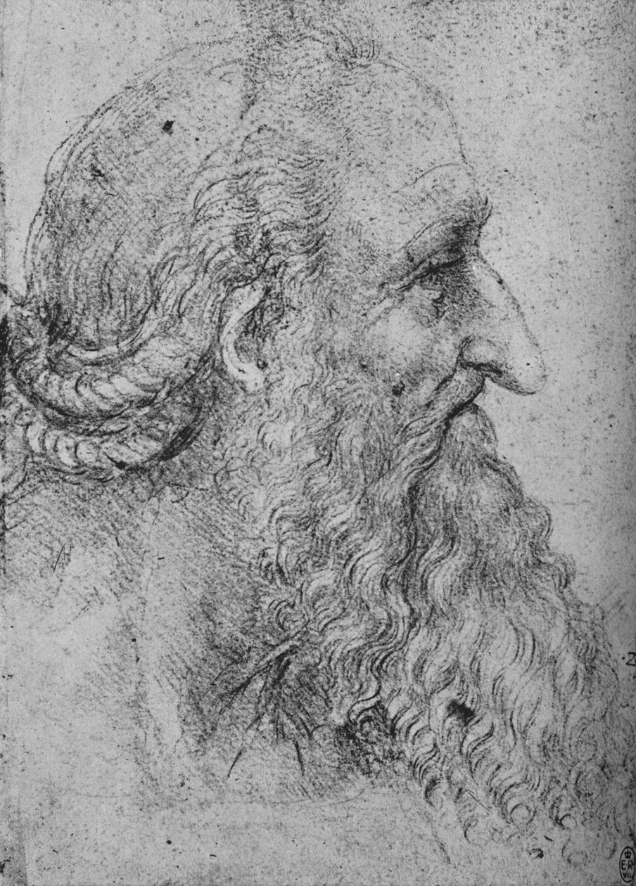 Profil av en gammal skäggig man till höger, c1480 1945 av Leonardo da Vinci