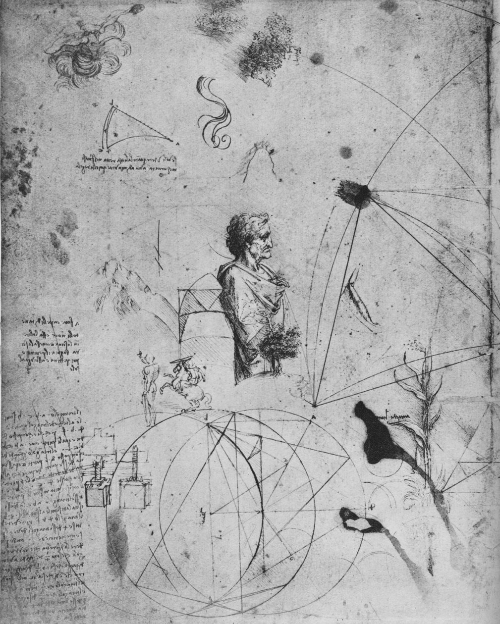 Profil av en gammal man, växter, geometriska figurer, etc., c1480 1945 av Leonardo da Vinci