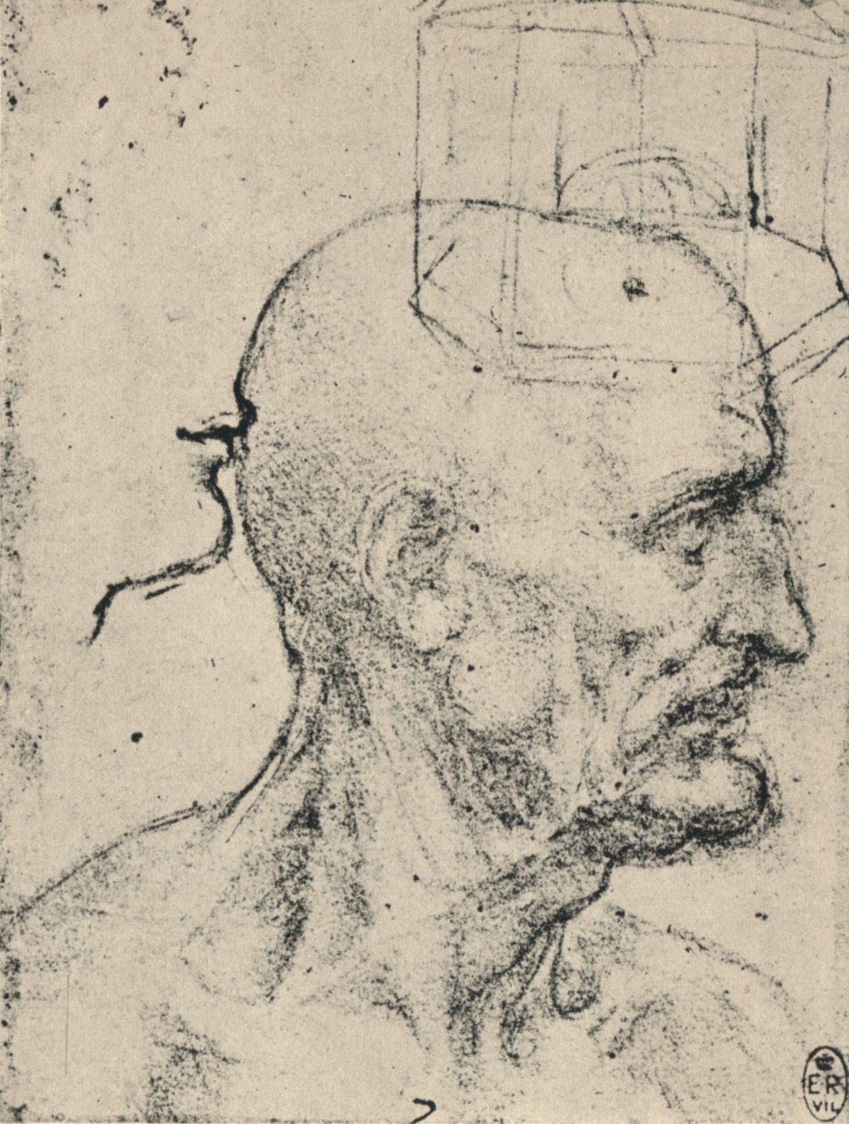 Profil till höger om en skallig man, c1480 1945 av Leonardo da Vinci