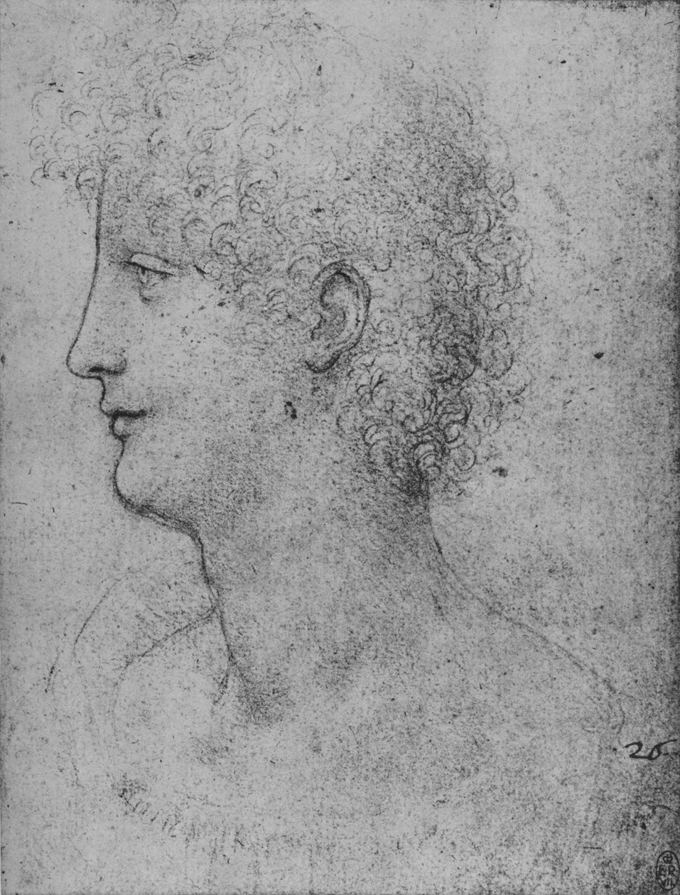 Profil till vänster om en curly-headed ungdom, c1480 1945 av Leonardo da Vinci