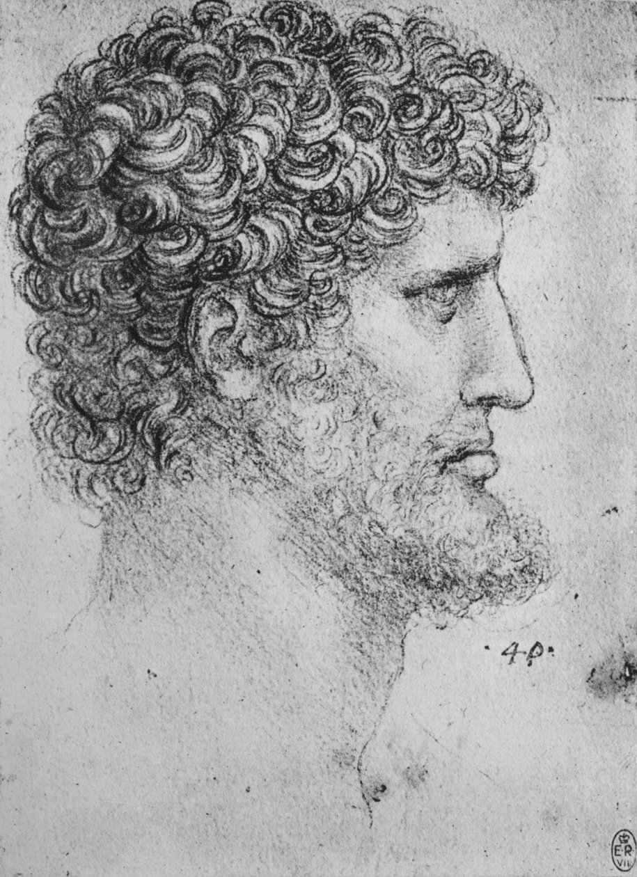 Profil till höger om en skäggig man, c1480 1945 av Leonardo da Vinci