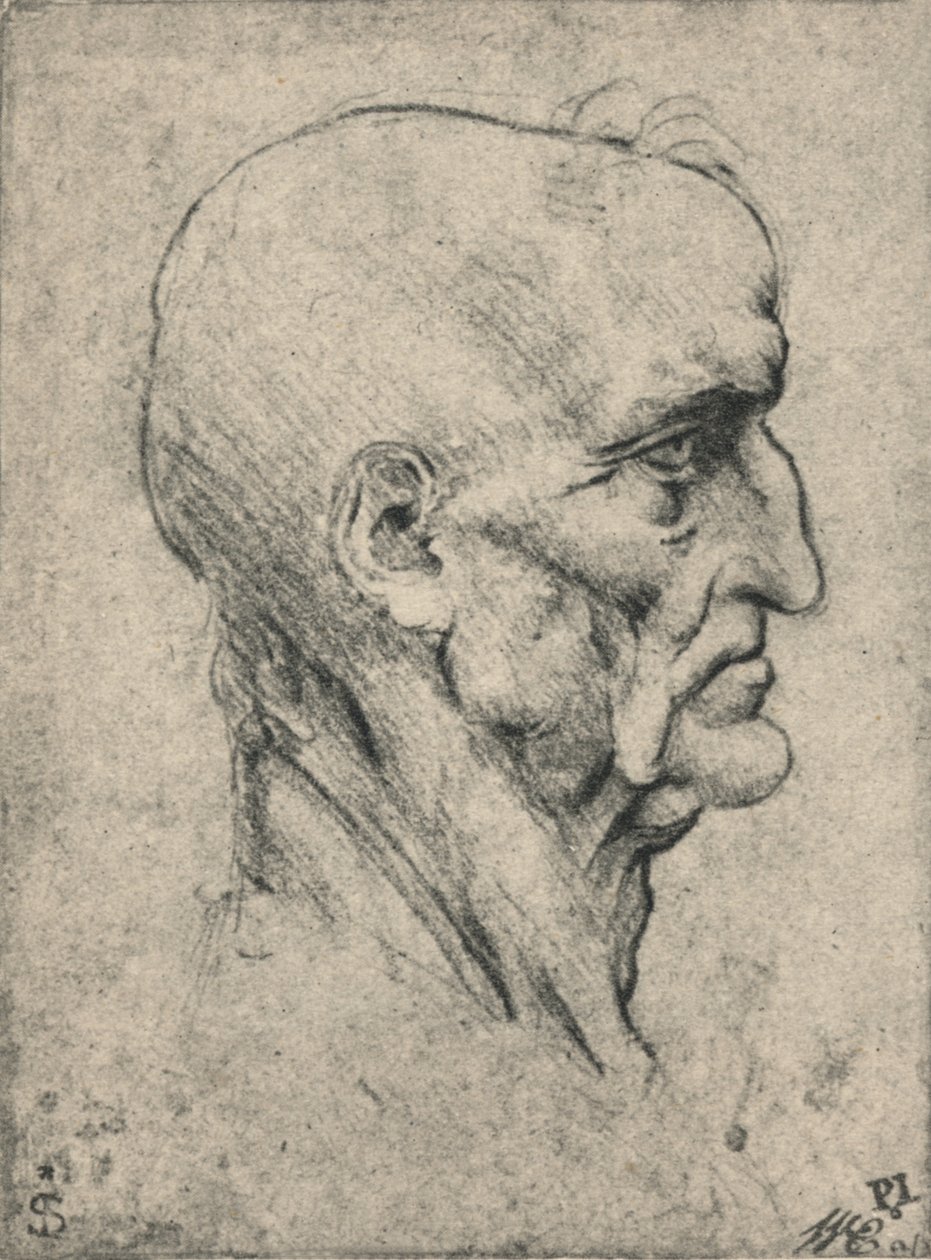 Profil till höger om en äldre skallig man, c1480 1945 av Leonardo da Vinci