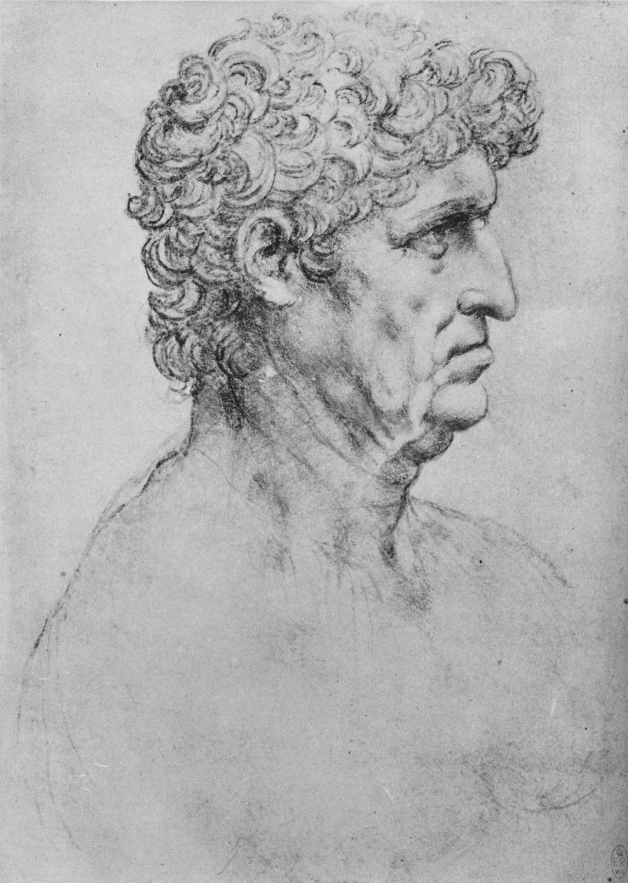 Profil till höger om en äldre man, c1480 1945 av Leonardo da Vinci