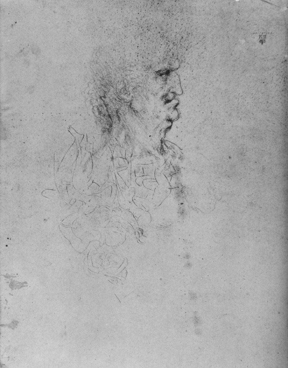 Profil till höger om en gammal man, c1480 1945 av Leonardo da Vinci
