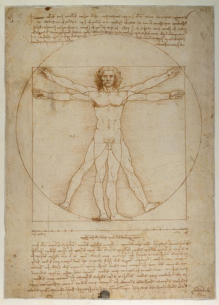 Schema för proportioner av den mänskliga figuren enligt Vitruvius av Leonardo da Vinci