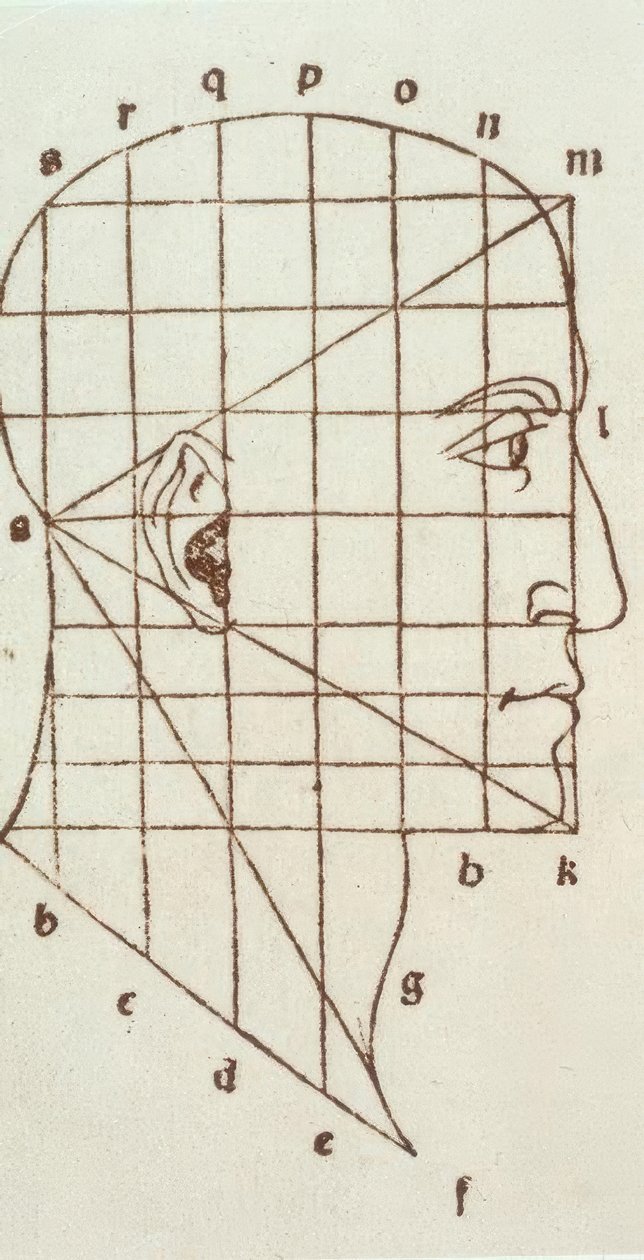 Proportionstudie av det mänskliga huvudet av Leonardo da Vinci