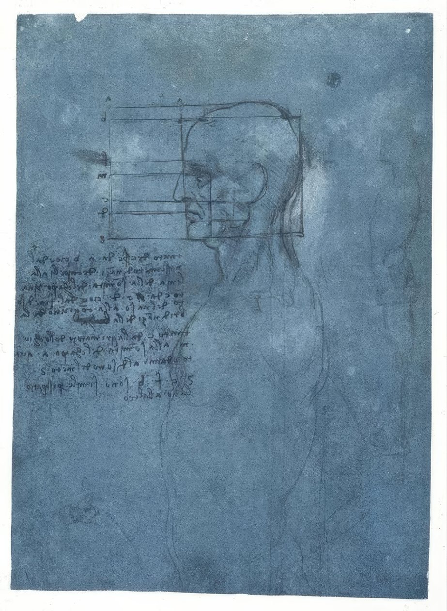 Proportionstudie av ett manligt huvud i profil av Leonardo da Vinci
