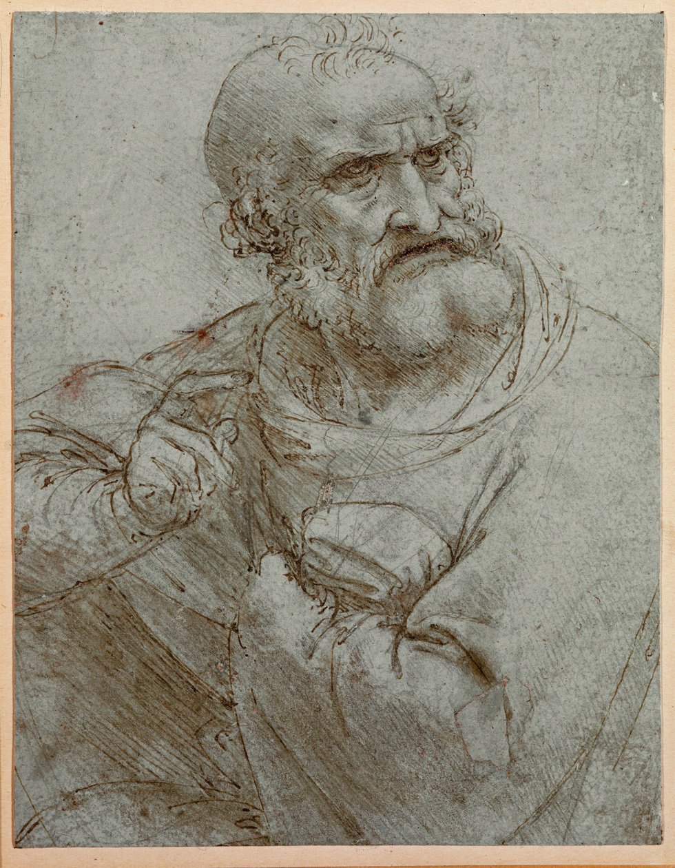  av Leonardo da Vinci