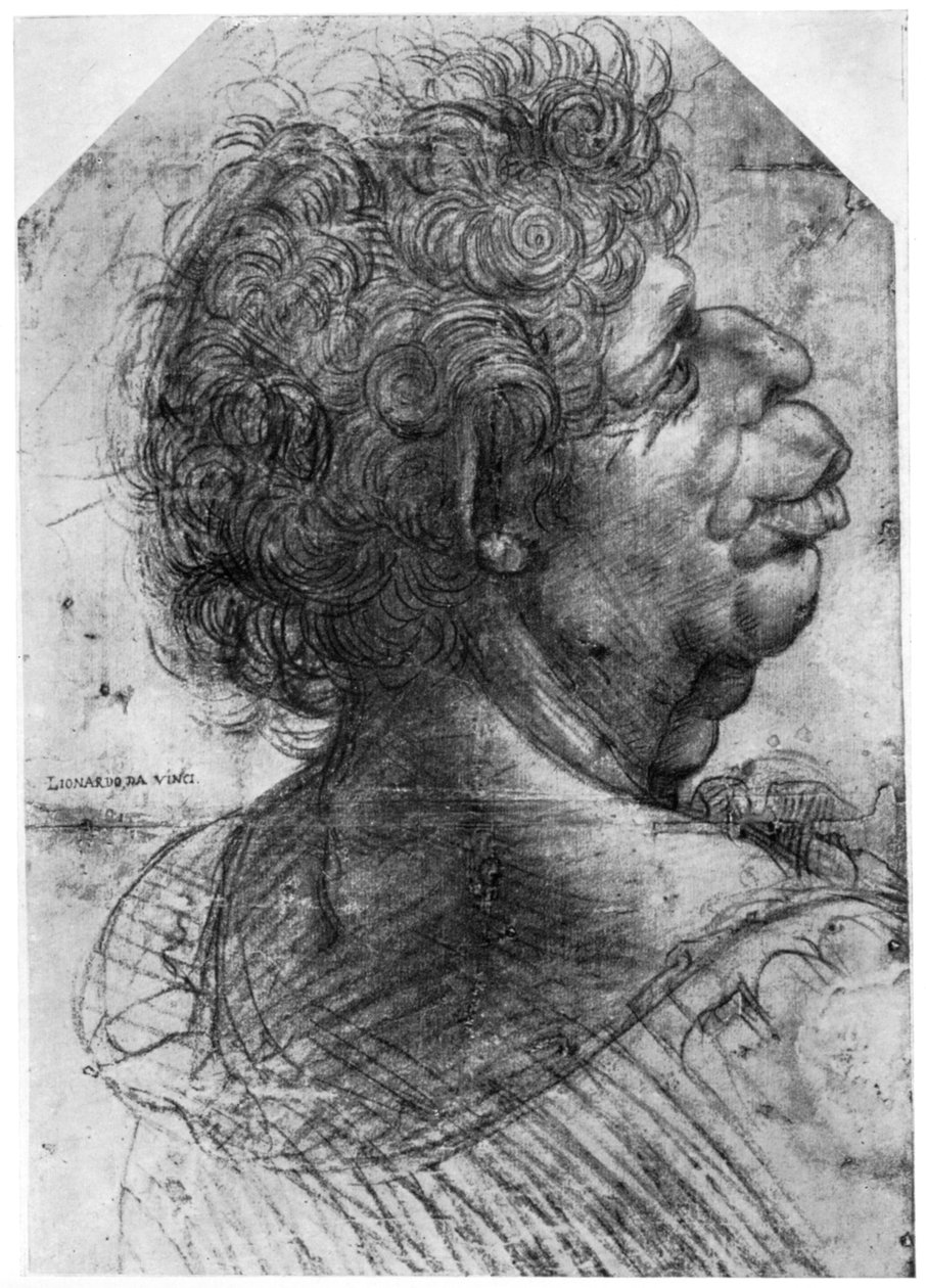 skärmytsling, 1500-1505 1954 av Leonardo da Vinci