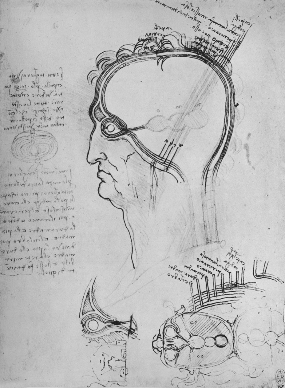 Delar av ett mans huvud som visar ögats anatomi, etc., c1480 1945 av Leonardo da Vinci