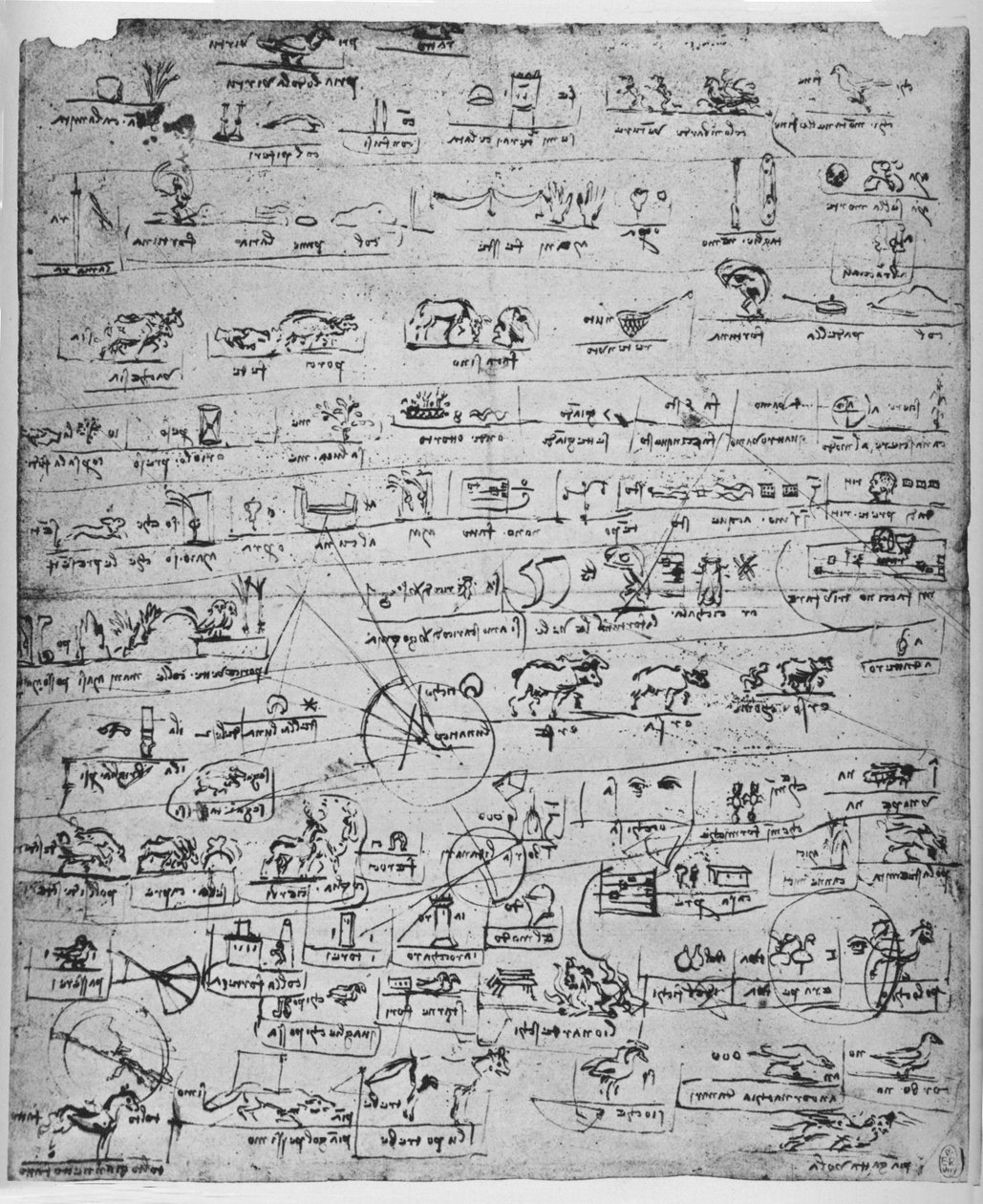 Piktogramark, c1480 1945 av Leonardo da Vinci