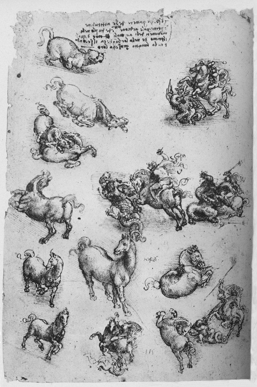 Ark med studier av hästar, en katt och av St. George och draken, c1480 1945 av Leonardo da Vinci