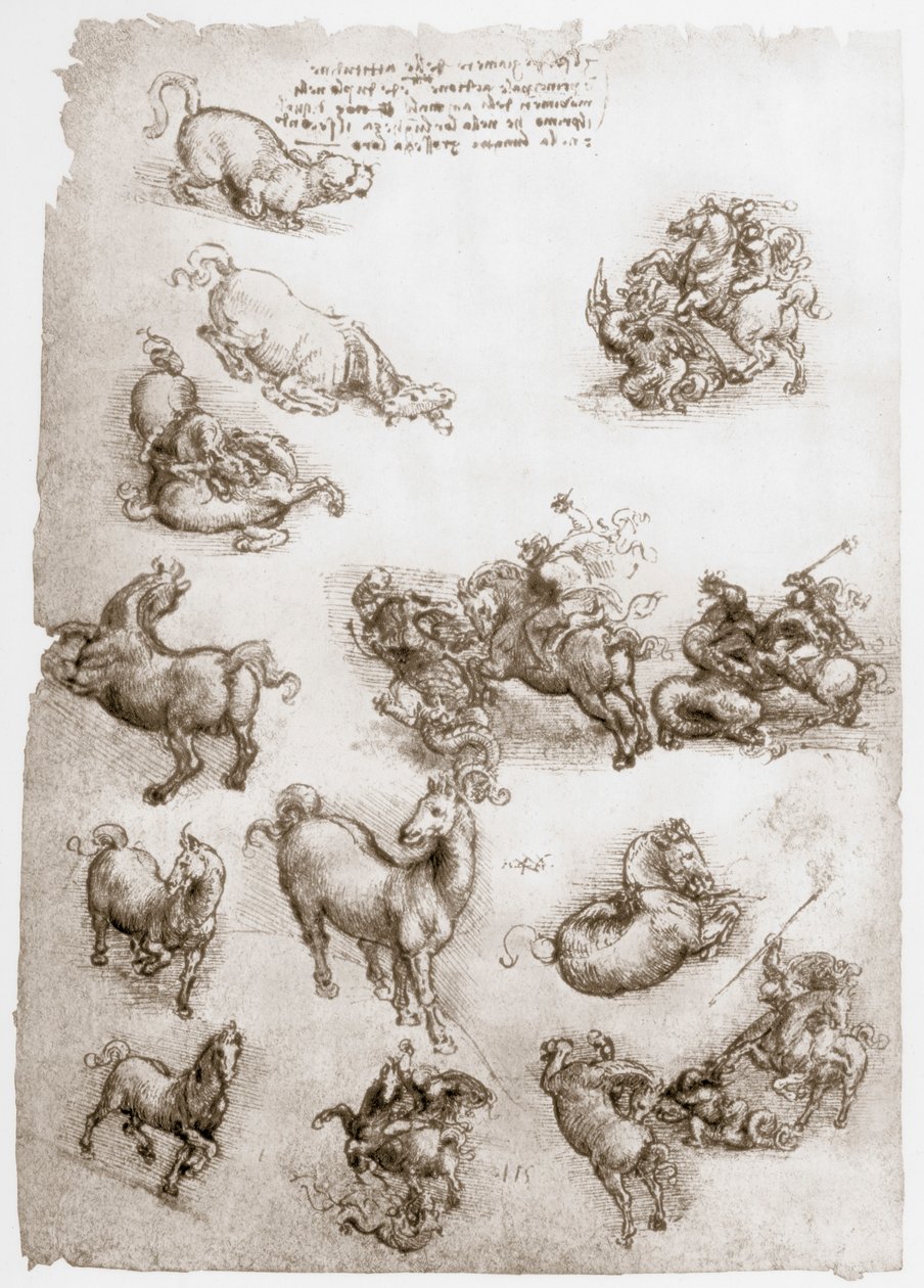 St George och draken, c1506 av Leonardo da Vinci