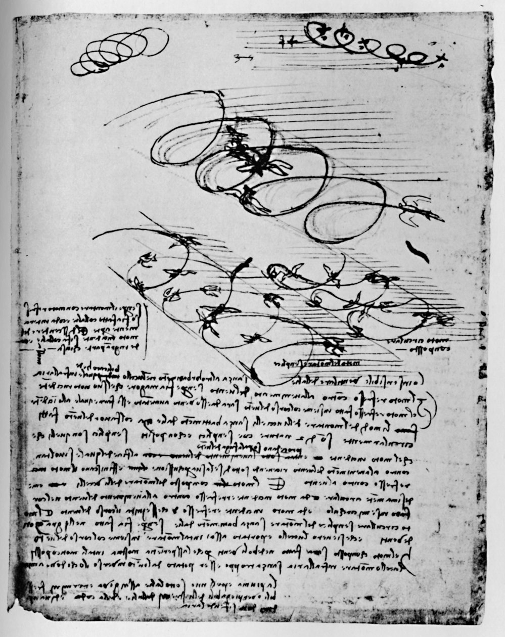 Studier av fåglar i flykt när de reser sig och cirklar, 1928 av Leonardo da Vinci