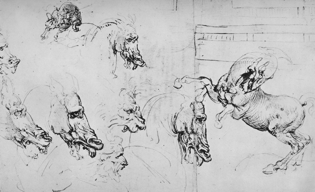 Studier av hästhuvuden och av en uppfödande häst, c1480 1945 av Leonardo da Vinci